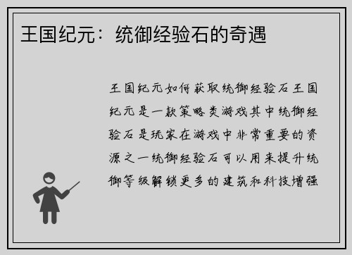 王国纪元：统御经验石的奇遇