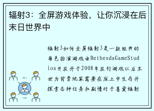 辐射3：全屏游戏体验，让你沉浸在后末日世界中